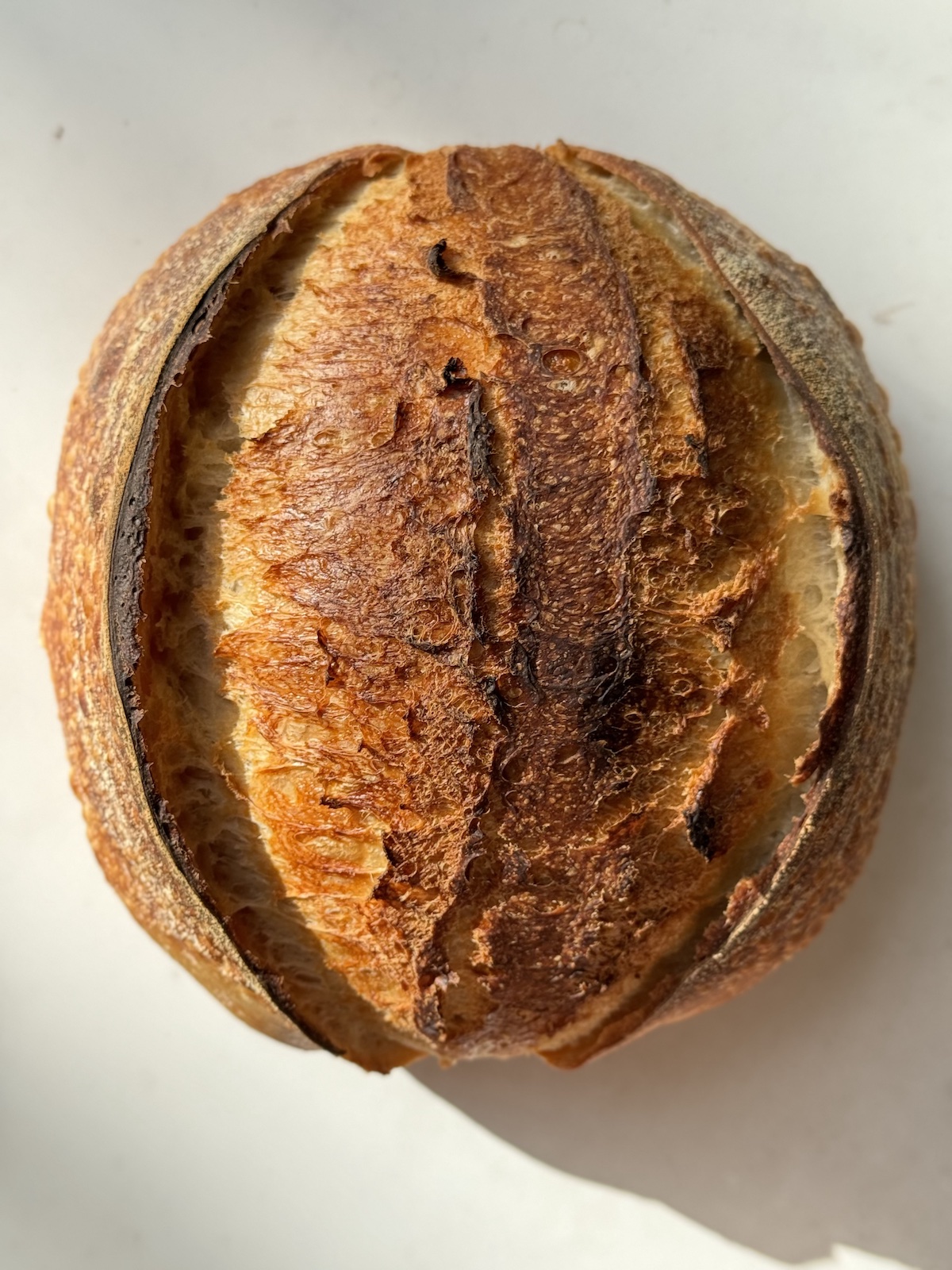 Homemade sourdough bread