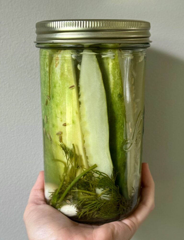 Jar of homemade dill pickles with garlic and dill.